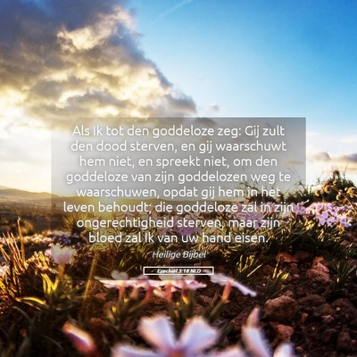 Picture 05 - Ezechiël 3:18 NLD - Als Ik tot den goddeloze zeg: Gij zult den dood - Bible Verse Picture