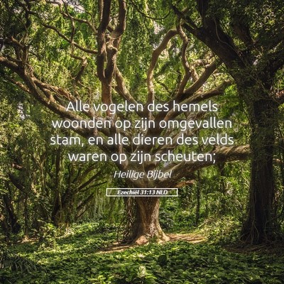 Picture 05 - Ezechiël 31:13 NLD - Alle vogelen des hemels woonden op zijn - Bible Verse Picture