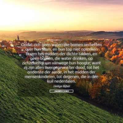 Picture 05 - Ezechiël 31:14 NLD - Opdat zich geen waterrijke bomen verheffen over - Bible Verse Picture