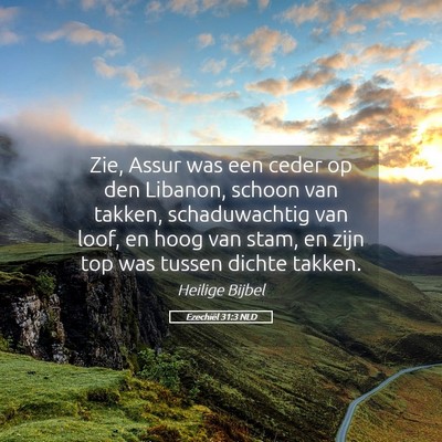Picture 05 - Ezechiël 31:3 NLD - Zie, Assur was een ceder op den Libanon, schoon - Bible Verse Picture