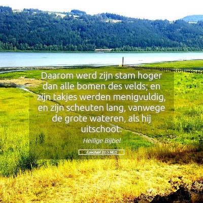 Picture 05 - Ezechiël 31:5 NLD - Daarom werd zijn stam hoger dan alle bomen des - Bible Verse Picture