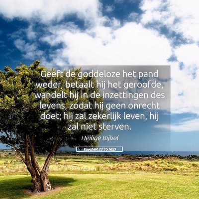Picture 05 - Ezechiël 33:15 NLD - Geeft de goddeloze het pand weder, betaalt hij - Bible Verse Picture