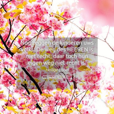 Picture 05 - Ezechiël 33:17 NLD - Nog zeggen de kinderen uws volks: De weg des - Bible Verse Picture