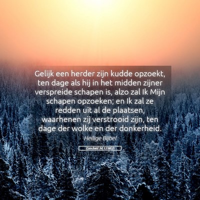 Picture 05 - Ezechiël 34:12 NLD - Gelijk een herder zijn kudde opzoekt, ten dage - Bible Verse Picture