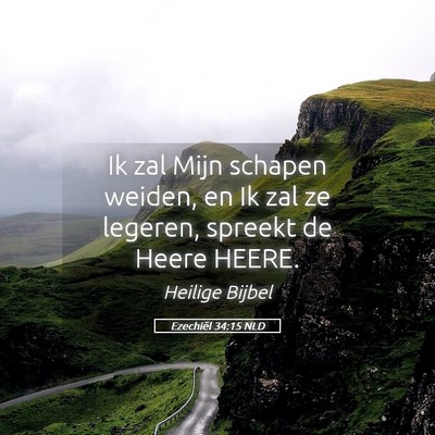 Picture 05 - Ezechiël 34:15 NLD - Ik zal Mijn schapen weiden, en Ik zal ze legeren, - Bible Verse Picture