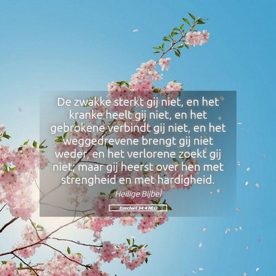Picture 05 - Ezechiël 34:4 NLD - De zwakke sterkt gij niet, en het kranke heelt - Bible Verse Picture