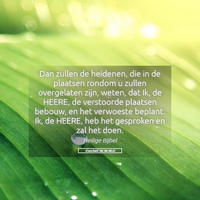 Picture 05 - Ezechiël 36:36 NLD - Dan zullen de heidenen, die in de plaatsen rondom - Bible Verse Picture