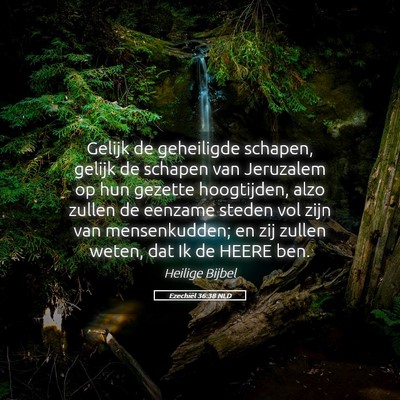 Picture 05 - Ezechiël 36:38 NLD - Gelijk de geheiligde schapen, gelijk de schapen - Bible Verse Picture