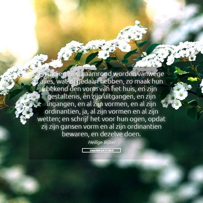 Picture 05 - Ezechiël 43:11 NLD - En indien zij schaamrood worden vanwege alles, - Bible Verse Picture