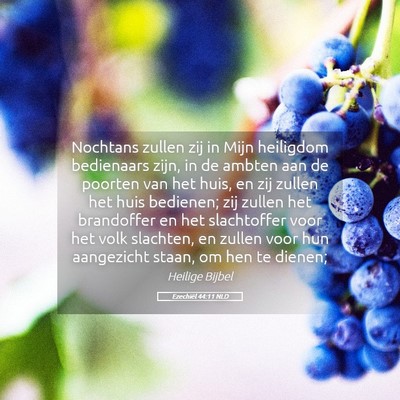 Picture 05 - Ezechiël 44:11 NLD - Nochtans zullen zij in Mijn heiligdom bedienaars - Bible Verse Picture
