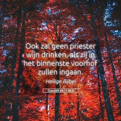 Picture 05 - Ezechiël 44:21 NLD - Ook zal geen priester wijn drinken, als zij in - Bible Verse Picture