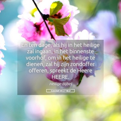 Picture 05 - Ezechiël 44:27 NLD - En ten dage, als hij in het heilige zal ingaan, - Bible Verse Picture