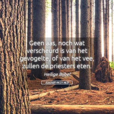 Picture 05 - Ezechiël 44:31 NLD - Geen aas, noch wat verscheurd is van het - Bible Verse Picture