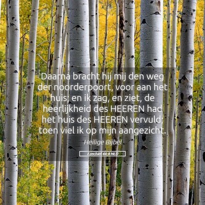 Picture 05 - Ezechiël 44:4 NLD - Daarna bracht hij mij den weg der noorderpoort, - Bible Verse Picture
