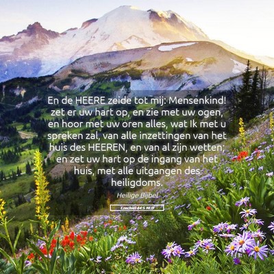 Picture 05 - Ezechiël 44:5 NLD - En de HEERE zeide tot mij: Mensenkind! zet er uw - Bible Verse Picture