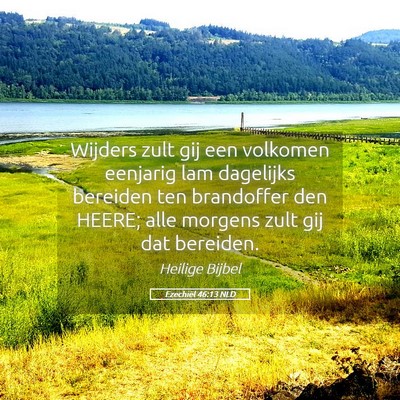 Picture 05 - Ezechiël 46:13 NLD - Wijders zult gij een volkomen eenjarig lam - Bible Verse Picture