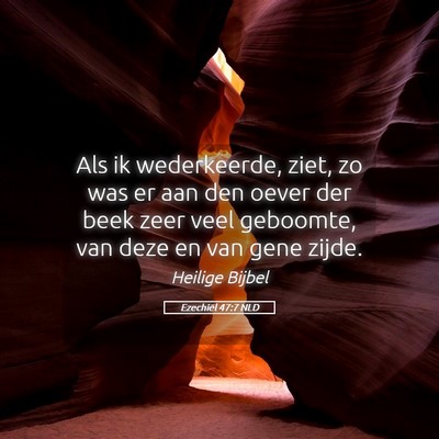 Picture 05 - Ezechiël 47:7 NLD - Als ik wederkeerde, ziet, zo was er aan den oever - Bible Verse Picture