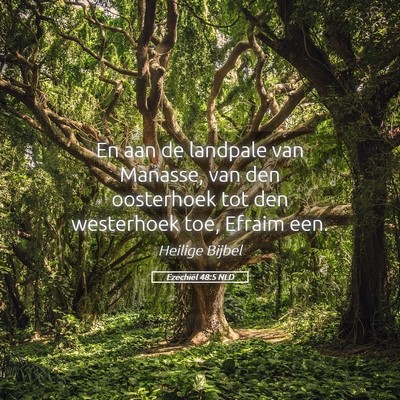 Picture 05 - Ezechiël 48:5 NLD - En aan de landpale van Manasse, van den - Bible Verse Picture