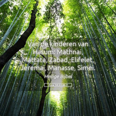Picture 05 - Ezra 10:33 NLD - Van de kinderen van Hasum: Mathnai, Mattata, - Bible Verse Picture