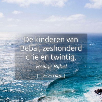 Picture 05 - Ezra 2:11 NLD - De kinderen van Bebai, zeshonderd drie en - Bible Verse Picture