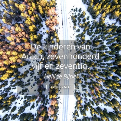 Picture 05 - Ezra 2:5 NLD - De kinderen van Arach, zevenhonderd vijf en - Bible Verse Picture