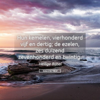 Picture 05 - Ezra 2:67 NLD - Hun kemelen, vierhonderd vijf en dertig; de - Bible Verse Picture