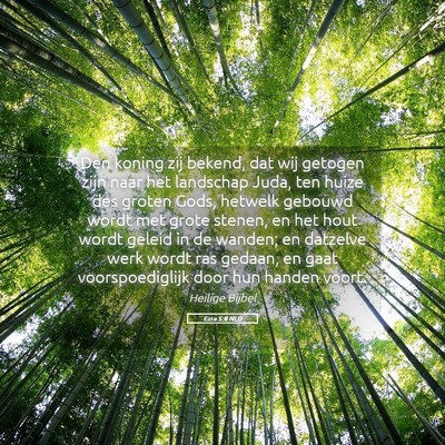 Picture 05 - Ezra 5:8 NLD - Den koning zij bekend, dat wij getogen zijn naar - Bible Verse Picture