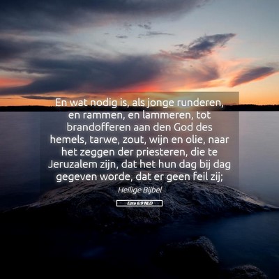 Picture 05 - Ezra 6:9 NLD - En wat nodig is, als jonge runderen, en rammen, - Bible Verse Picture