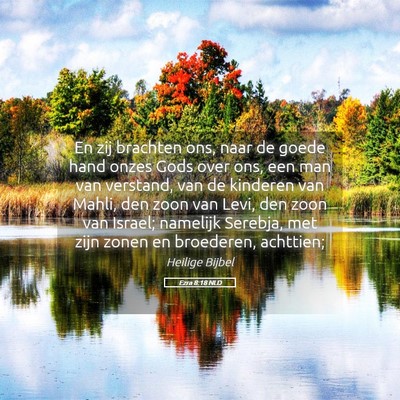 Picture 05 - Ezra 8:18 NLD - En zij brachten ons, naar de goede hand onzes - Bible Verse Picture