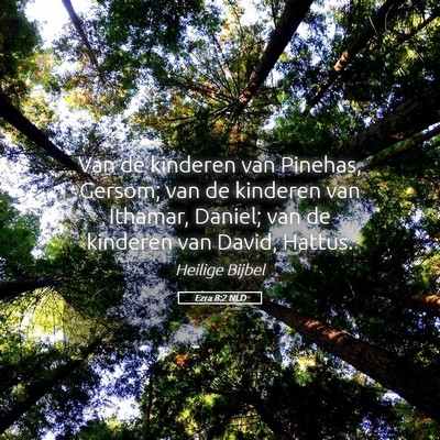 Picture 05 - Ezra 8:2 NLD - Van de kinderen van Pinehas, Gersom; van de - Bible Verse Picture