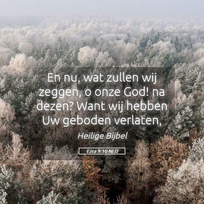 Picture 05 - Ezra 9:10 NLD - En nu, wat zullen wij zeggen, o onze God! na - Bible Verse Picture