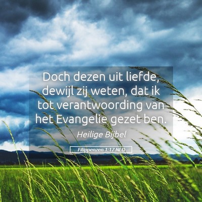 Picture 05 - Filippenzen 1:17 NLD - Doch dezen uit liefde, dewijl zij weten, dat ik - Bible Verse Picture