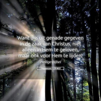 Picture 05 - Filippenzen 1:29 NLD - Want u is uit genade gegeven in de zaak van - Bible Verse Picture