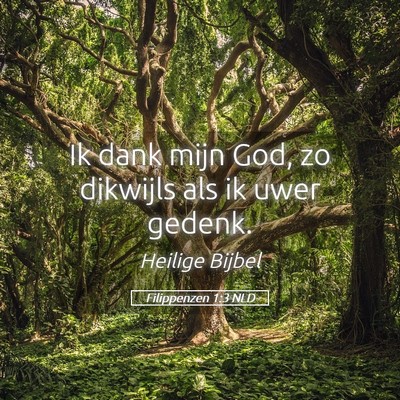 Picture 05 - Filippenzen 1:3 NLD - Ik dank mijn God, zo dikwijls als ik uwer - Bible Verse Picture