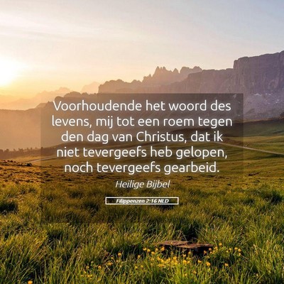 Picture 05 - Filippenzen 2:16 NLD - Voorhoudende het woord des levens, mij tot een - Bible Verse Picture