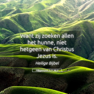 Picture 05 - Filippenzen 2:21 NLD - Want zij zoeken allen het hunne, niet hetgeen van - Bible Verse Picture