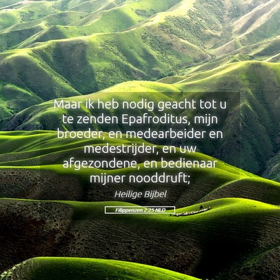 Picture 05 - Filippenzen 2:25 NLD - Maar ik heb nodig geacht tot u te zenden - Bible Verse Picture