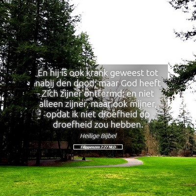 Picture 05 - Filippenzen 2:27 NLD - En hij is ook krank geweest tot nabij den dood; - Bible Verse Picture