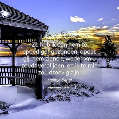 Picture 05 - Filippenzen 2:28 NLD - Zo heb ik dan hem te spoediger gezonden, opdat - Bible Verse Picture