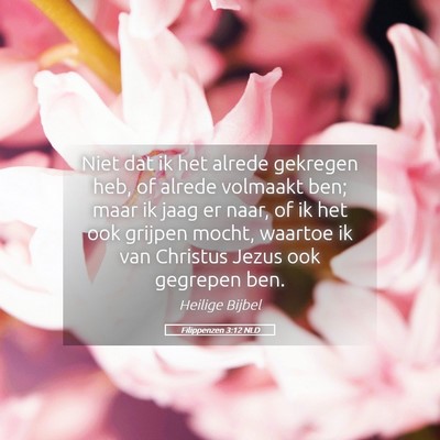 Picture 05 - Filippenzen 3:12 NLD - Niet dat ik het alrede gekregen heb, of alrede - Bible Verse Picture
