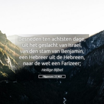 Picture 05 - Filippenzen 3:5 NLD - Besneden ten achtsten dage, uit het geslacht van - Bible Verse Picture