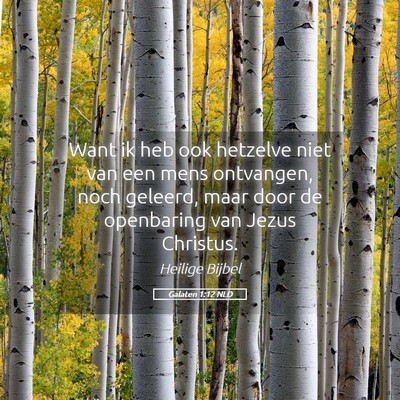 Picture 05 - Galaten 1:12 NLD - Want ik heb ook hetzelve niet van een mens - Bible Verse Picture