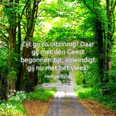 Picture 05 - Galaten 3:3 NLD - Zijt gij zo uitzinnig? Daar gij met den Geest - Bible Verse Picture