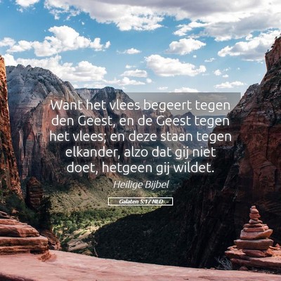 Picture 05 - Galaten 5:17 NLD - Want het vlees begeert tegen den Geest, en de - Bible Verse Picture