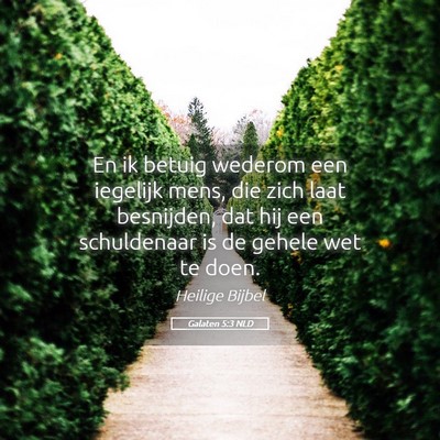Picture 05 - Galaten 5:3 NLD - En ik betuig wederom een iegelijk mens, die zich - Bible Verse Picture