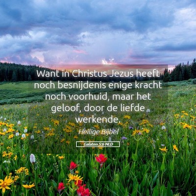 Picture 05 - Galaten 5:6 NLD - Want in Christus Jezus heeft noch besnijdenis - Bible Verse Picture
