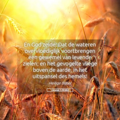 Picture 05 - Genesis 1:20 NLD - En God zeide: Dat de wateren overvloediglijk - Bible Verse Picture