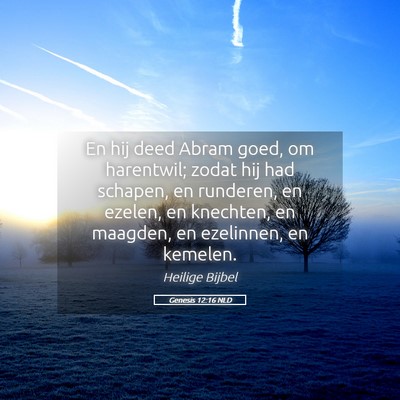 Picture 05 - Genesis 12:16 NLD - En hij deed Abram goed, om harentwil; zodat hij - Bible Verse Picture