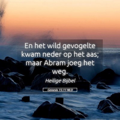 Picture 05 - Genesis 15:11 NLD - En het wild gevogelte kwam neder op het aas; maar - Bible Verse Picture