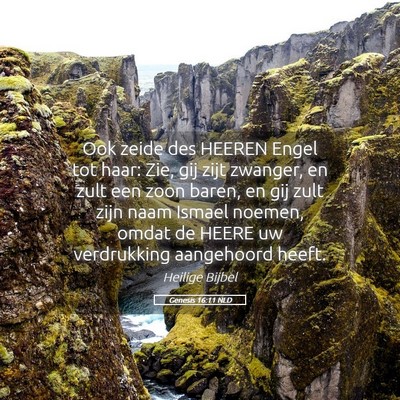 Picture 05 - Genesis 16:11 NLD - Ook zeide des HEEREN Engel tot haar: Zie, gij - Bible Verse Picture